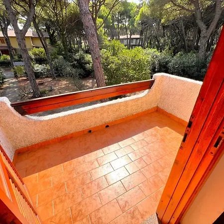 Delfini Principina a Mare