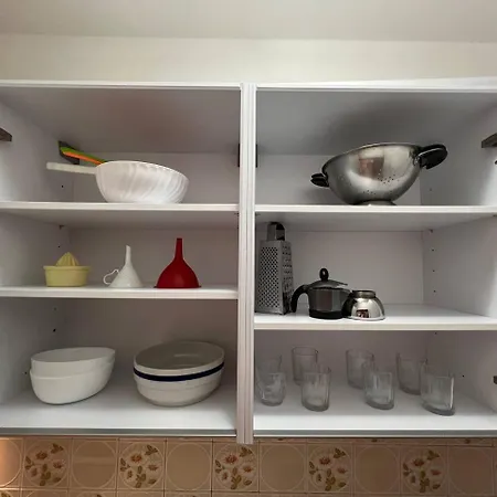 Delfini * برانسيبينا أو ماري